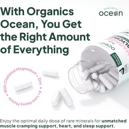 Organics Ocean Pure Magnesium Glycinate with Zinc - Maximum Strength Chelated Magnesium Supplement for Women and Men for Muscle Cramps and Sleep Support - 90 Capsule
